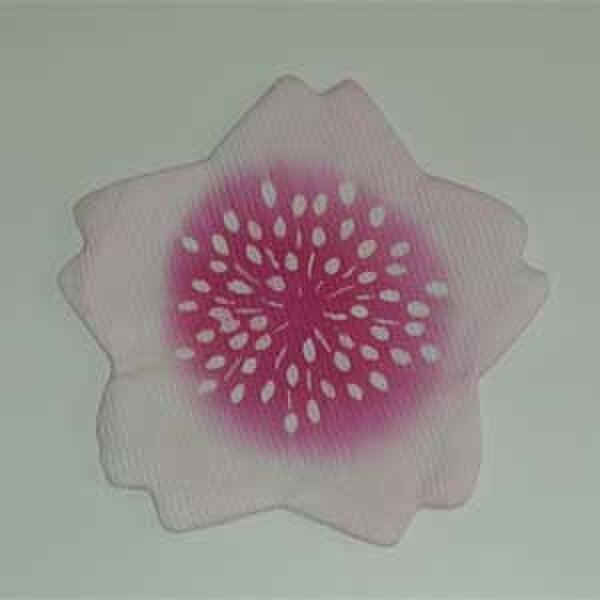 さくら花(コースター)の画像1枚目