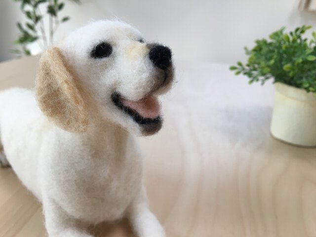 【羊毛フェルト】ラブラドールレトリバー（イエロー） ラブラドールレトリバー イエロー＊羊毛フェルト | iichi 日々の