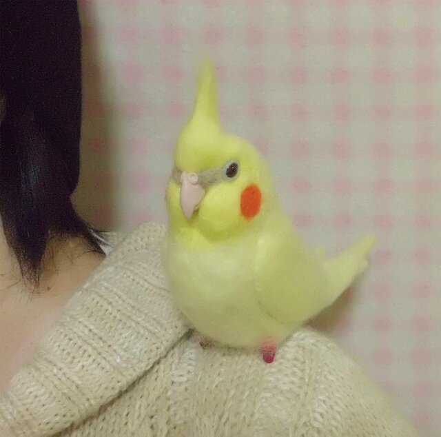 オカメインコ イエロールチノー 羊毛インコクリップ(クリップから足へ