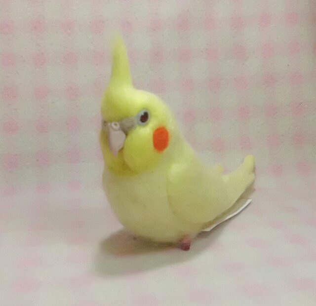 オカメインコ イエロールチノー 羊毛インコクリップ(クリップから足へ 