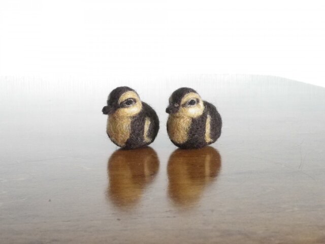 カルガモさんの画像1枚目