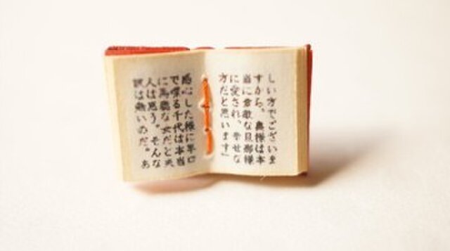 豆本 ピアス 「耽溺夫人」チタンの画像1枚目