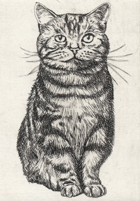 前向きな猫 / 銅版画 (額なし） | iichi 日々の暮らしを心地よくする 