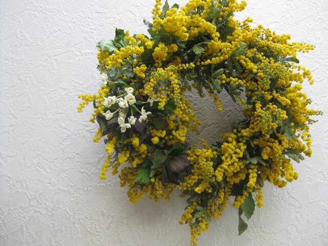 ミモザの春の庭のwreathの画像1枚目