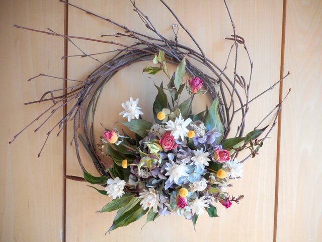 白樺と薔薇の画像1枚目