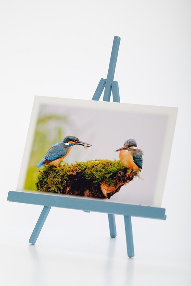 手作りイーゼルとPhoto Post Card(野鳥)5枚セットの画像1枚目