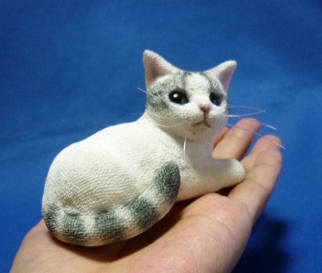 手乗り猫 しましましっぽのサバ白猫さん | iichi 日々の暮らしを