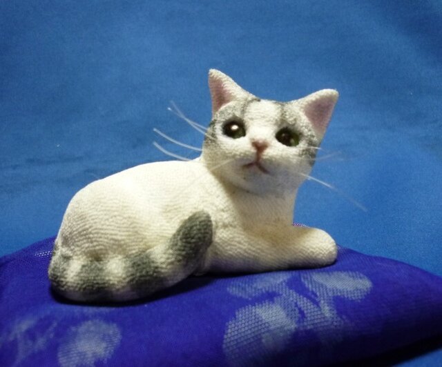 手乗り猫 しましましっぽのサバ白猫さん | iichi 日々の暮らしを