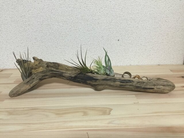 売れました☆流木の小物置きの画像1枚目