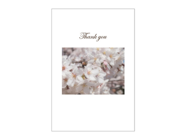 桜の39cardの画像1枚目