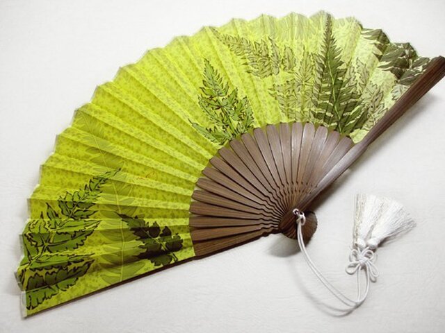 絹扇子(羊歯)の画像1枚目