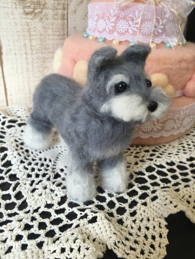 ミニチュアシュナウザーの画像1枚目