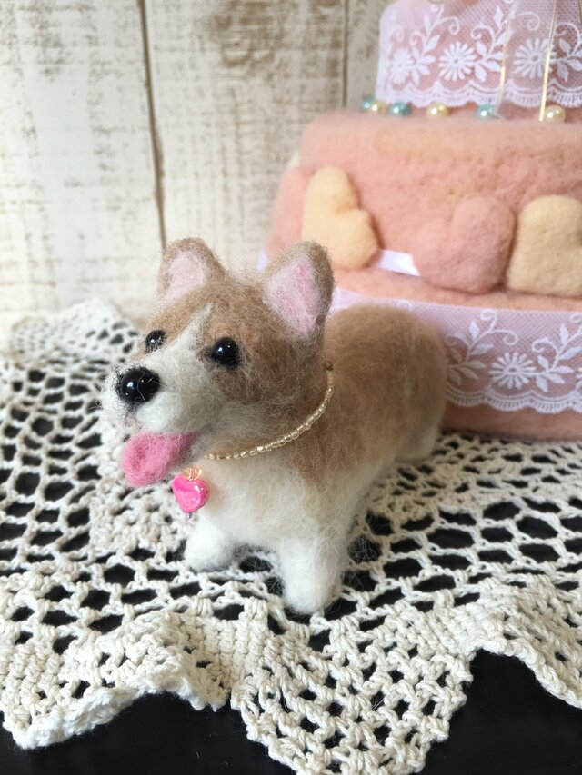 コーギーの画像1枚目