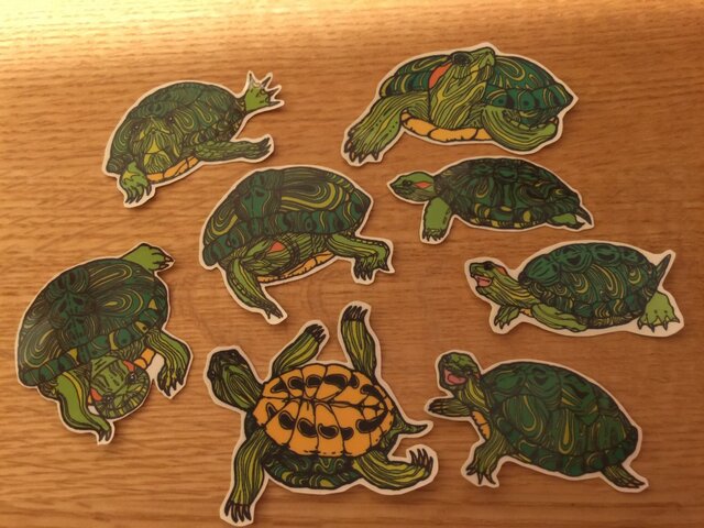 ミドリガメさんシールの画像1枚目