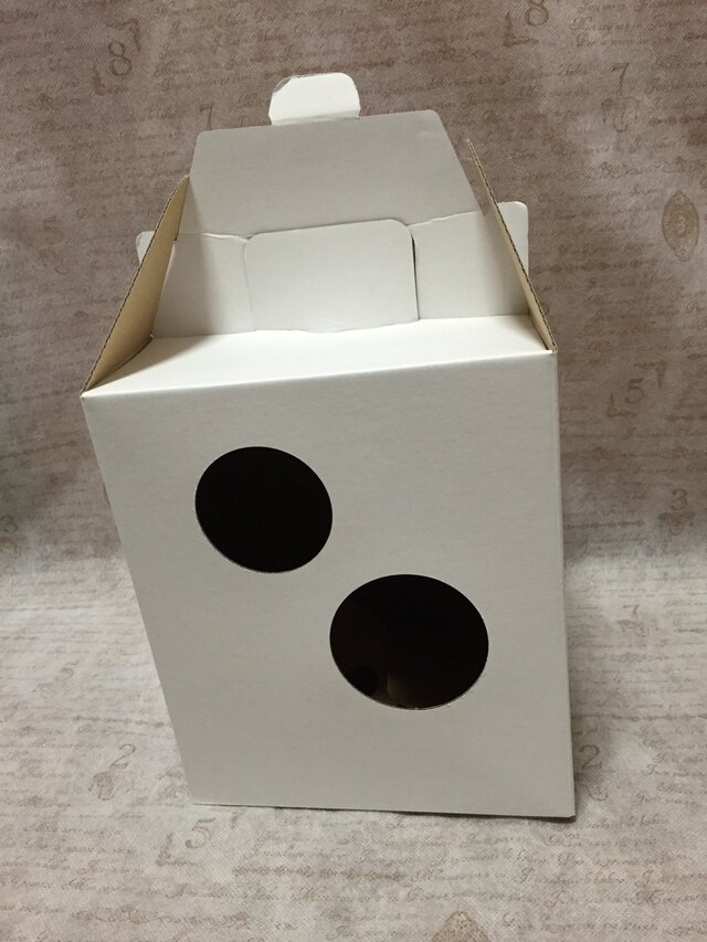 フラワーアレンジ用宅配BOX Mの画像1枚目