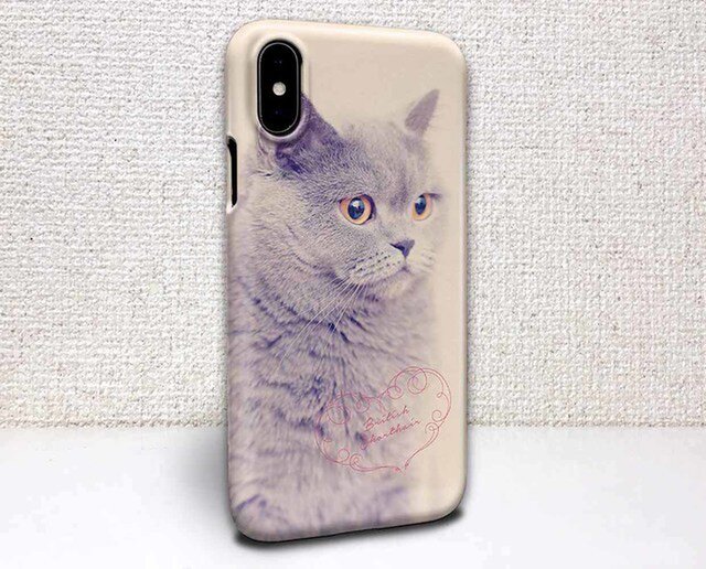 iphone ハードケース iPhoneX iphone8 iphone8 plus 猫 ブリティッシュショートヘアの画像1枚目
