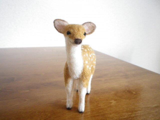 シカさんの画像1枚目