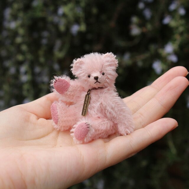 ミニチュアテディベア ピンクの画像1枚目