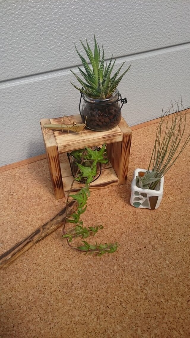 wood boxお買い得☆の画像1枚目