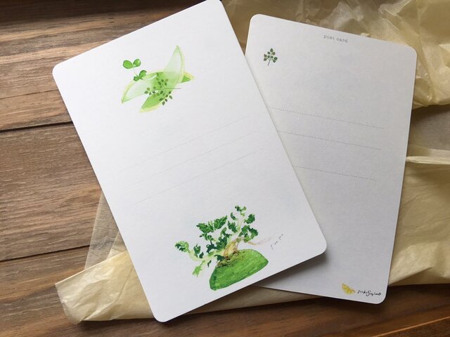 Fresh Vegetables ビタミン大根のカードの画像1枚目
