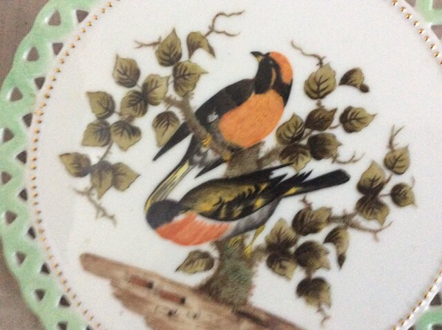 色鮮やかな鳥の絵皿 5枚セット 色鮮やかな鳥の絵皿 5枚セット