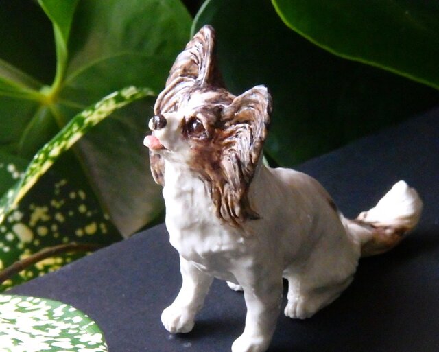 パピヨン（うちの子オーダー参考） | iichi 日々の暮らしを