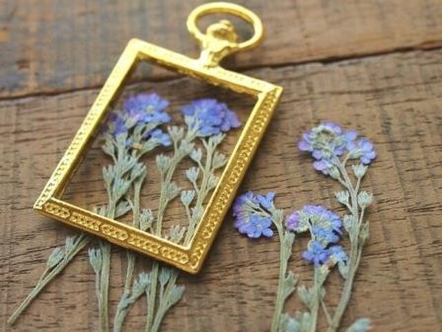 押し花【わすれな草(茎付)20個】10個×2袋自然ブルーの画像1枚目