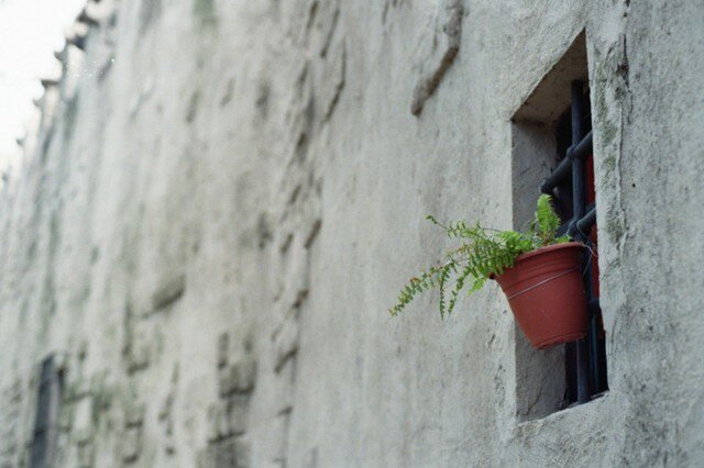 【額付写真】on the wallの画像1枚目