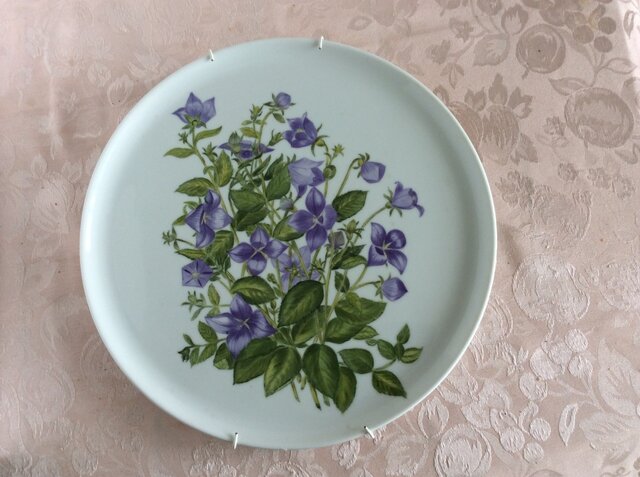 キキョウの絵皿の画像1枚目