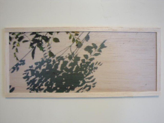 shadow of plantsの画像1枚目