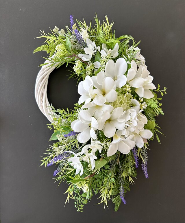 プルメリアのリース