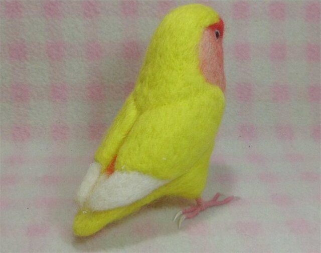 リアルサイズ♪ コザクラインコ ルチノー 羊毛フェルト 受注作成 羊毛