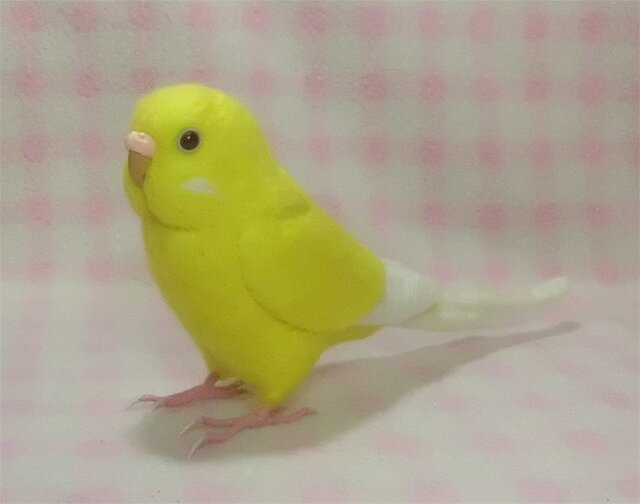 リアルサイズ セキセイインコ ルチノー 羊毛フェルト 選べる鼻の色 Iichi ハンドメイド クラフト作品 手仕事品の通販