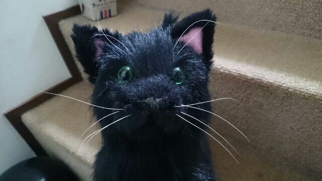 黒猫　ぬいぐるみ　ハンドメイド　作家 猫ぬいぐるみ「ねこにゃ」黒猫 【受注制作】 : Ficorintanヤフー