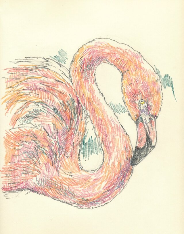※要写真 鳥もお描きします。ペットの似顔絵の画像1枚目