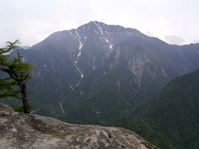 なつかしの山・思い出の花シリーズ「鞍掛山・コイワカガミ、クモイ