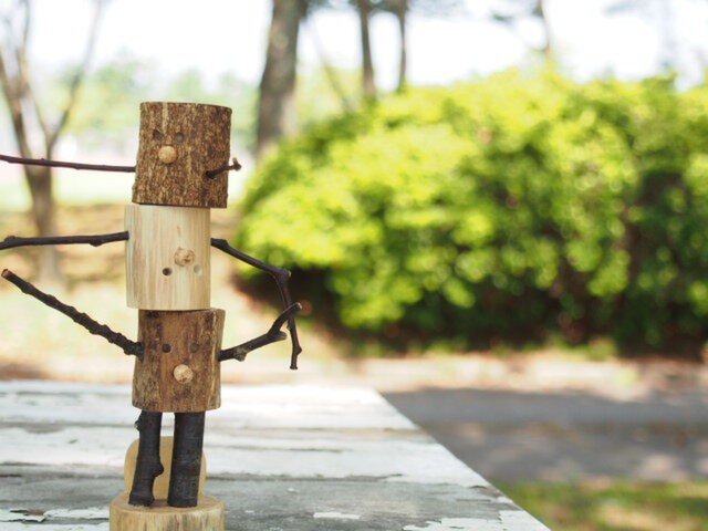 はじめまして、小枝くんです。の画像1枚目