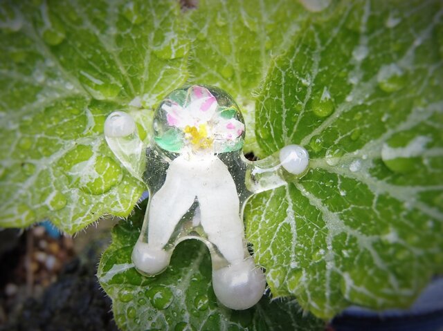 花人形ピン/ユキノシタの画像1枚目