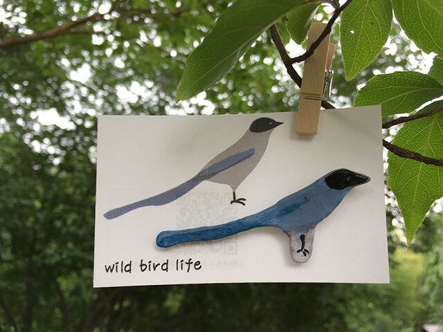 wild bird life ブローチ オナガの画像1枚目