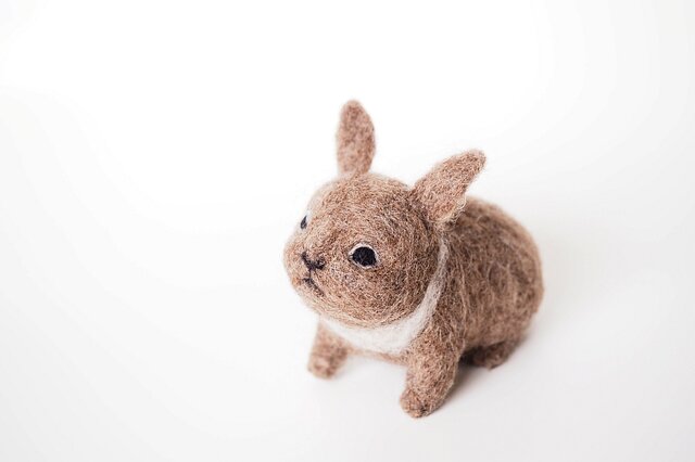 うさぎちゃんの画像1枚目