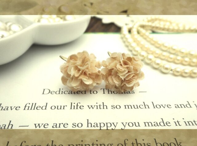 petal dの画像1枚目