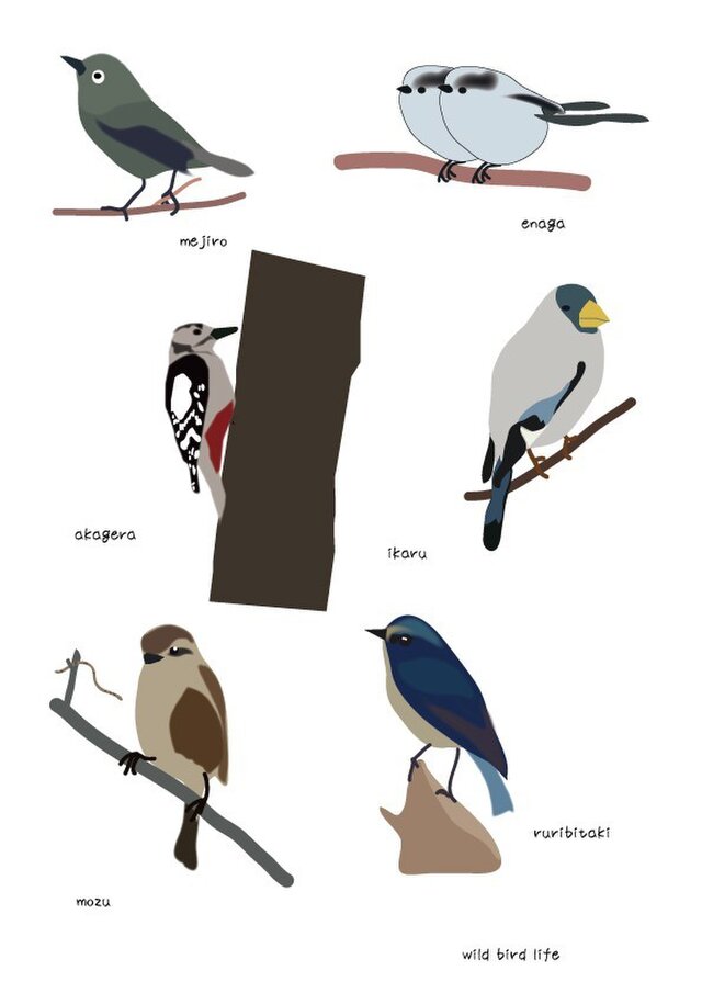 ポストカードセット 野鳥シリーズの画像1枚目