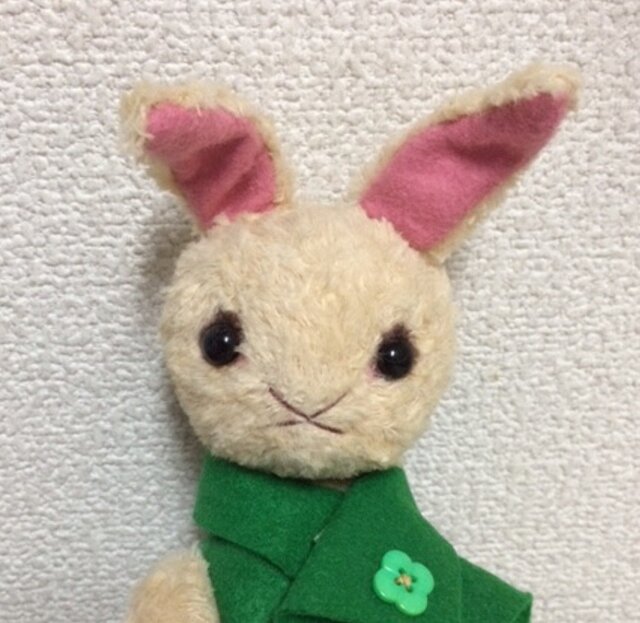 ビスコースのうさぎさんの画像1枚目