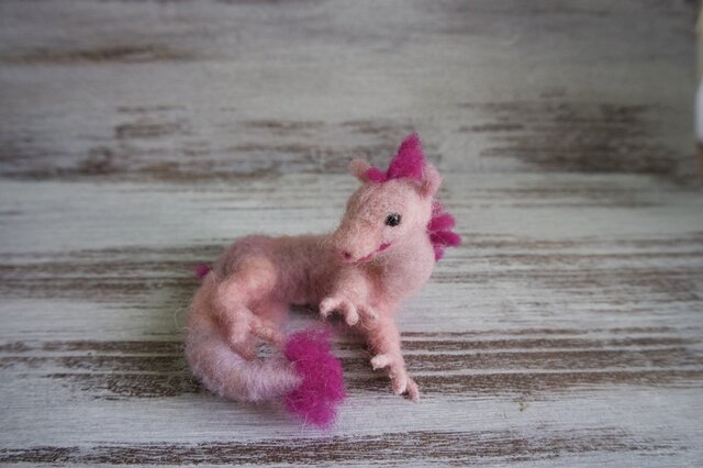 ミニピンクドラゴンの画像1枚目