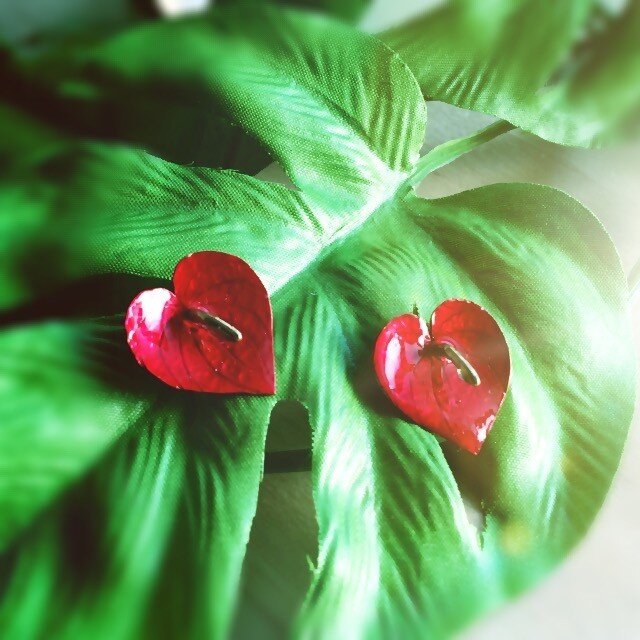 Tropical flower 〜red〜の画像1枚目