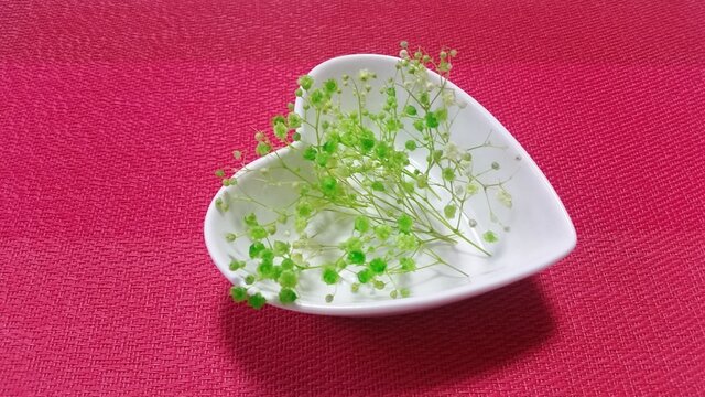❤枝付きかすみ草❤ブリザードフラワー❤リーフグリーン【送料無料】の画像1枚目