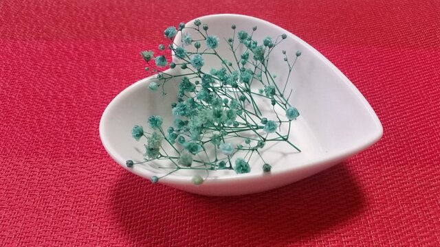 ❤枝付きかすみ草❤ブリザードフラワー❤グリーン【送料無料】の画像1枚目
