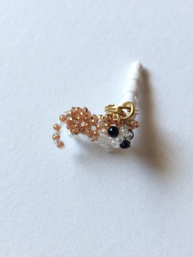 ちいさなねこちゃんジャックの画像1枚目