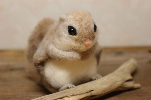 エゾモモンガ*①の画像1枚目