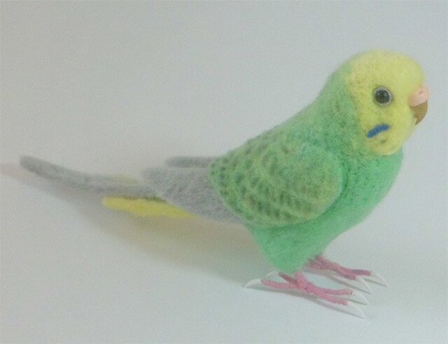 リアルサイズ♪ セキセイインコ パステルグリーンオパーリン 羊毛
